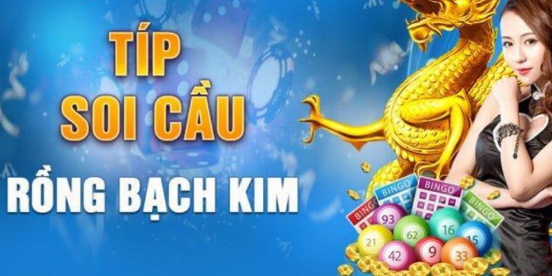 Soi cầu rồng bạch kim cực chuẩn